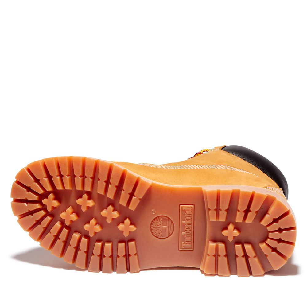 Botas Feminino - Timberland 6-Inch Premium Impermeavel - AREXT1278 - Marrom